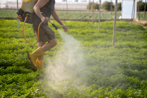 Best Local Pest Control Services  in Linganore, MD