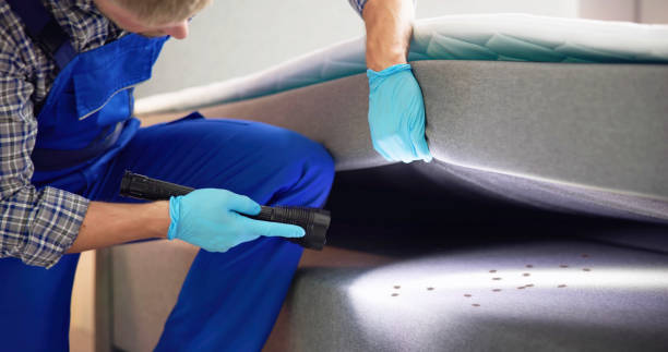 Best Flea Control Services  in Linganore, MD