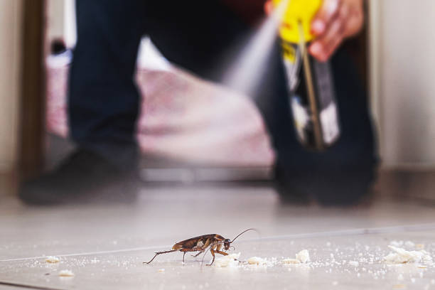 Best Flea Control Services  in Linganore, MD
