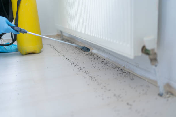 Best Pest Prevention Services  in Linganore, MD