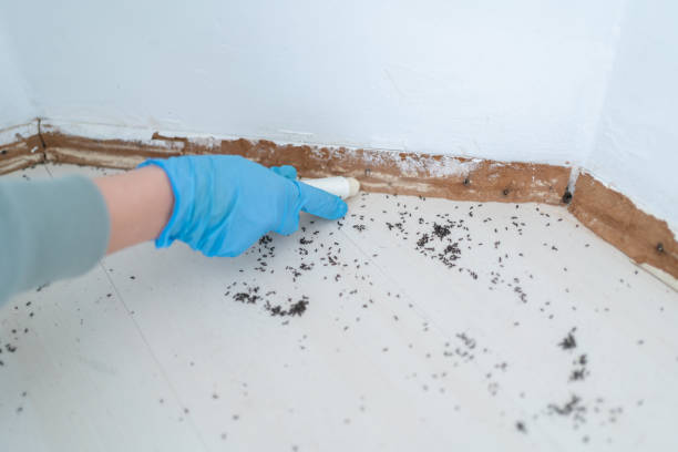Best Pest Removal Services  in Linganore, MD